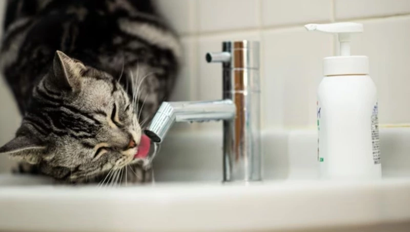 Авария на сетях оставит часть Южно-Сахалинска без воды 13 и 14 января