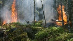 Высокую опасность пожара в Смирныховском районе не отменят до 12 июня