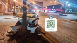 Три человека пострадали в результате наезда автомобиля на дерево в Южно-Сахалинске