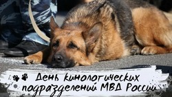 День кинолога 2024: картинки и открытки с поздравлениями