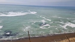 «Море побелело»: тонны селедки подошли к побережью в Корсаковском районе