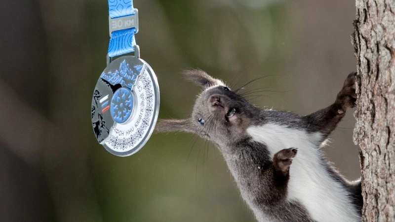 Лыжный марафон имени Фархутдинова: история самого популярного соревнования на Сахалине