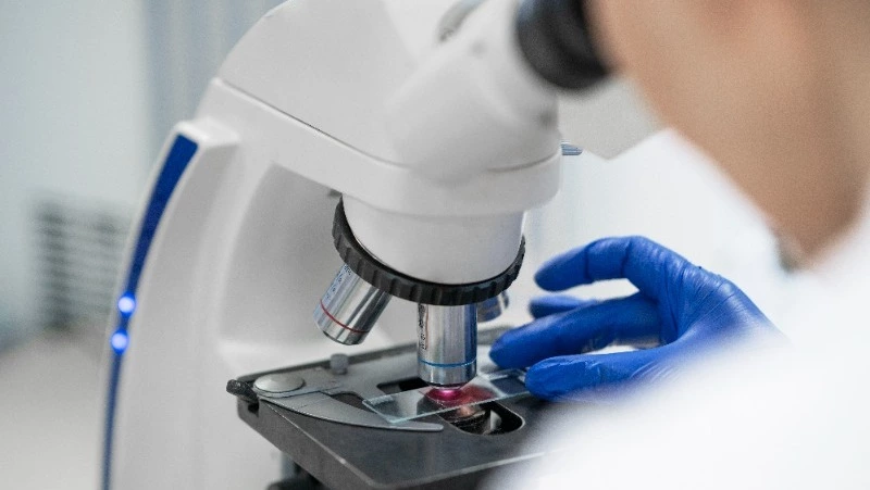 Опасный для человека трихинеллез нашли в тушах двух медведей на Сахалине