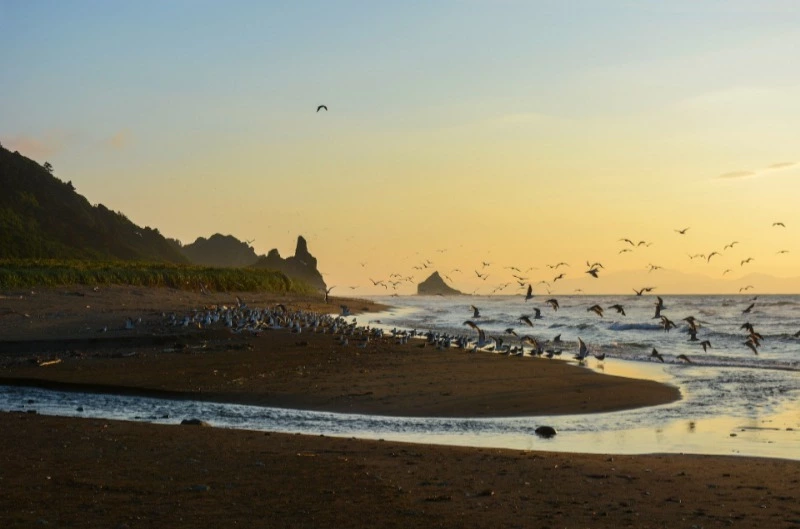 Возле Кунашира нашли тело возможного пассажира затонувшего японского судна