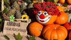 Фестиваль «Свое родное островное» стартовал в Южно-Сахалинске