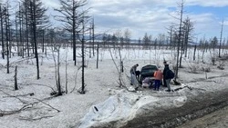 Автомобиль улетел в кювет перед Березняками 