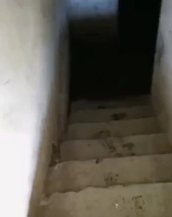 Клопы и блохи из затопленного подвала выселяют жителей дома на Сахалине