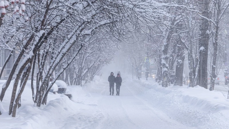 Мороз, снег и сильный ветер ожидают Сахалинскую область 18 марта