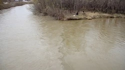 Ученый: В Южно-Сахалинске опасные процессы захватывают речные берега