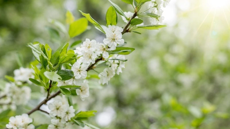 Церковный праздник 17 мая 2023: что нельзя делать в этот день, приметы