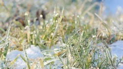 Синоптики уточнили прогноз погоды в Сахалинской области на 22 марта 