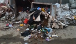 Борьба с коммунальщиками: жители Холмска пожаловались на переполненные мусорные баки