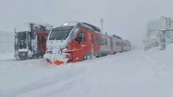 Пригородные поезда на Сахалине будут курсировать 29 января по действующему расписанию