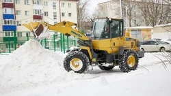 В Южно-Сахалинске активно чистят дорожки у школ и детских садов