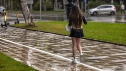 Гидрометцентр: июнь на Сахалине будет теплый, но дождливый