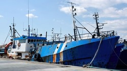Более 67 тысяч тонн лосося выловили на Сахалине в 2024 году 