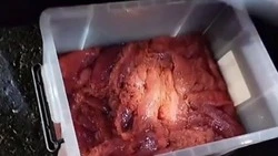 Икру на 500 тысяч рублей нашли сотрудники ДПС в машине жителя Южно-Сахалинска