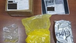 Запас наркотиков на 50 млн рублей сахалинцы купили в интернете