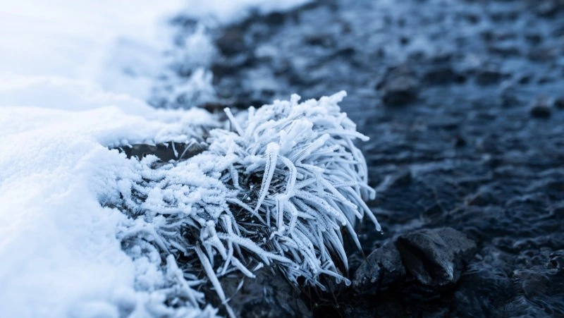 Церковный праздник 17 декабря 2024: что нельзя делать в этот день, приметы