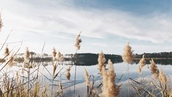 Ветер с запада и юго-запада принесет холод в Сахалинскую область 7 ноября