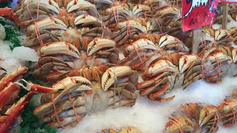 «Меркурий» не простил ошибки сахалинским предпринимателям и юрлицам