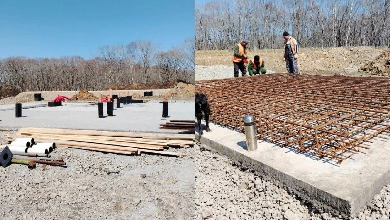 Приют для бездомных животных на Кунашире откроют в 2026 году 