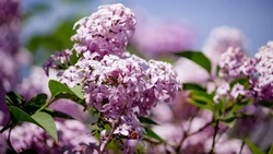 Приметы обо всем на 2 июня 2023 года: что можно и нельзя делать в этот день