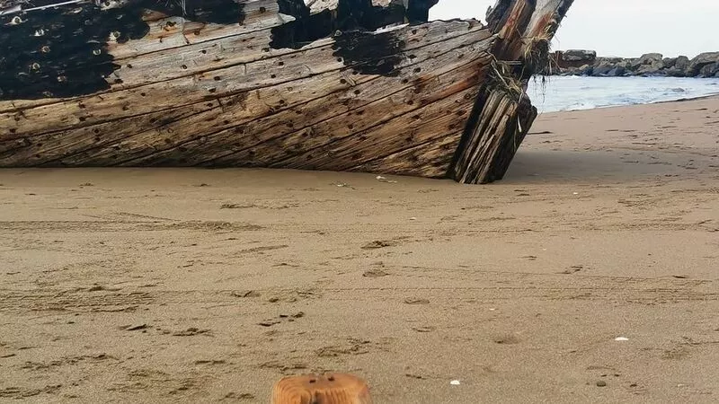 Сахалинский краевед обнаружил на побережье уникальную находку