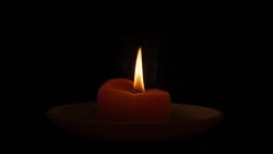 Журналист Иван Никашин призвал сурово наказать причастных к теракту в Подмосковье