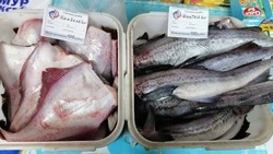 Продажу минтая и камбалы по социальным ценам организовали в Томари 18 апреля 