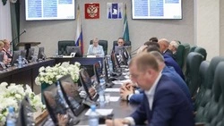 Сахалинские депутаты одобрили отчет областного избиркома