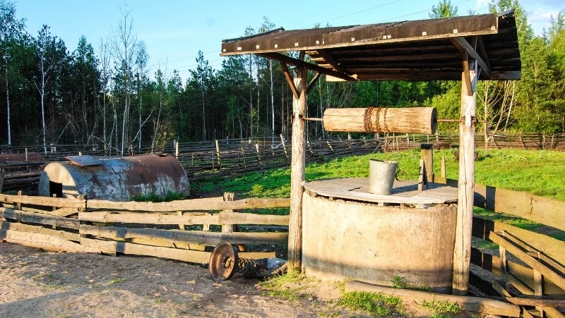 Народные приметы и поверья на 21 июня 2024 года: что нельзя делать в день Федора Колодезника