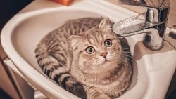 Детские учреждения, больница и десятки домов Южно-Сахалинска останутся без тепла и воды 26 ноября