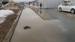 Огромную лужу возле магазина в Дальнем устранили за пару часов 22 марта
