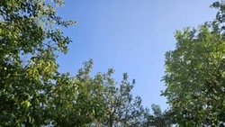  Синоптики уточнили прогноз погоды в Сахалинской области на 4 сентября