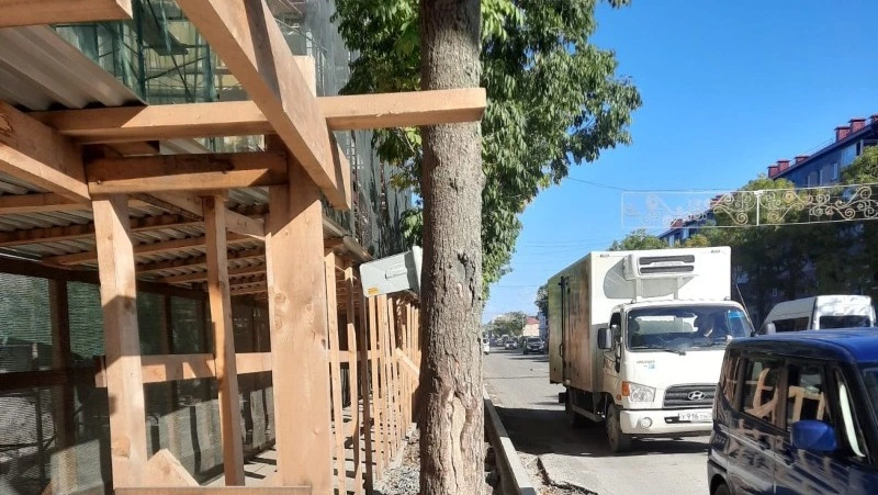 Администрация Южно-Сахалинска накажет подрядчика за порчу деревьев и мусор