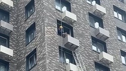 Спасатели вытащили собаку с 10-го этажа в Южно-Сахалинске