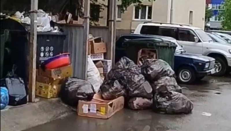 Руководство крупного супермаркета Южно-Сахалинска отчитают за доступный «корм» для крыс 