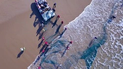 Японцы не пускают к российскому беглецу, в России новая вакцина. Главное на утро 27 августа