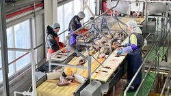 Руководители рыбзавода «Невод» в Томаринском районе раскрыли принципы своей работы