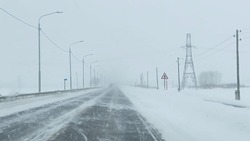 На Сахалине отменили восемь междугородних автобусных рейсов из-за метели