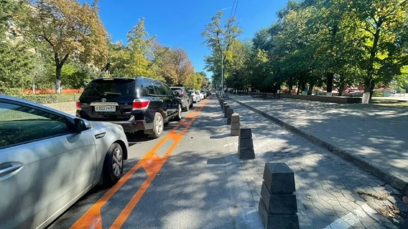 Вишневский привел опыт Ростова в пример столице Сахалина. «Случилось дерзкое»