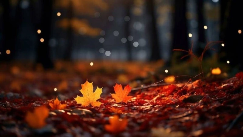 Погода в Южно-Сахалинске 17 ноября: +8 градусов и облачно с прояснениями