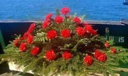 Памятные венки спустили на воду в Шахтерске 