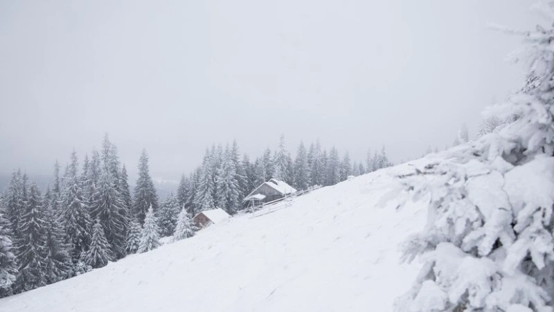 Невельским школьникам сократили занятия из-за погодных условий 4 февраля