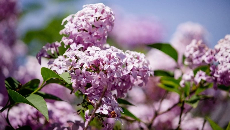 Приметы обо всем на 2 июня 2023 года: что можно и нельзя делать в этот день