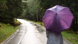 Заморозки с дождями спрогнозировали для Сахалинской области 21 мая