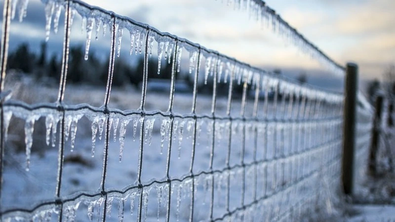 Регионов Крайнего Севера стало меньше, на Сахалине рост тяжелобольных. Главное на утро 16 ноября