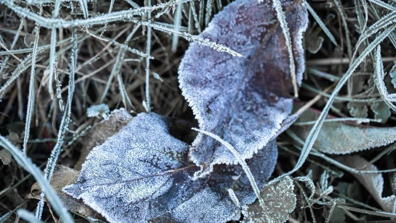 Мороз до –19 градусов прогнозируют в Сахалинской области на 19 ноября
