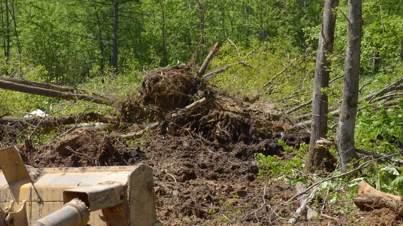 В городском парке Южно-Сахалинска появится новая парковка